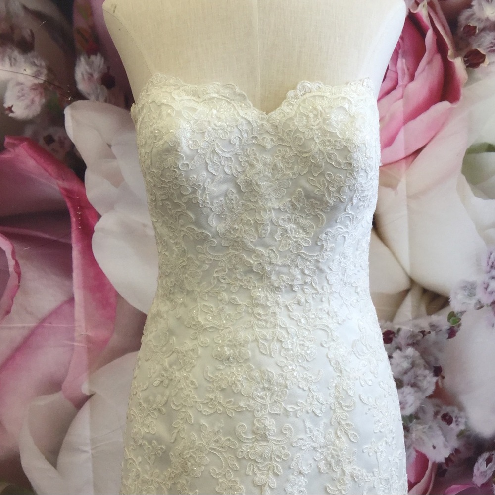 Ella Rosa Wedding Dress